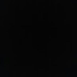 Meet your Posher, Dree